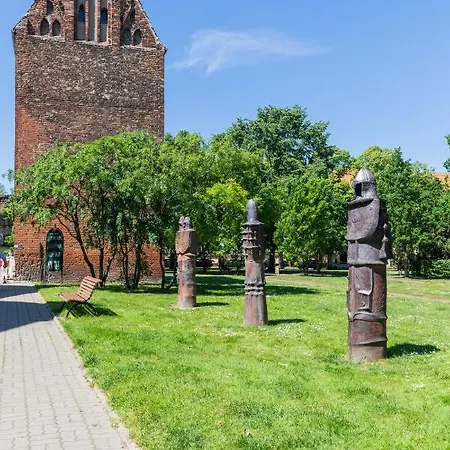 Jantar Stara Starowka Kołobrzeg